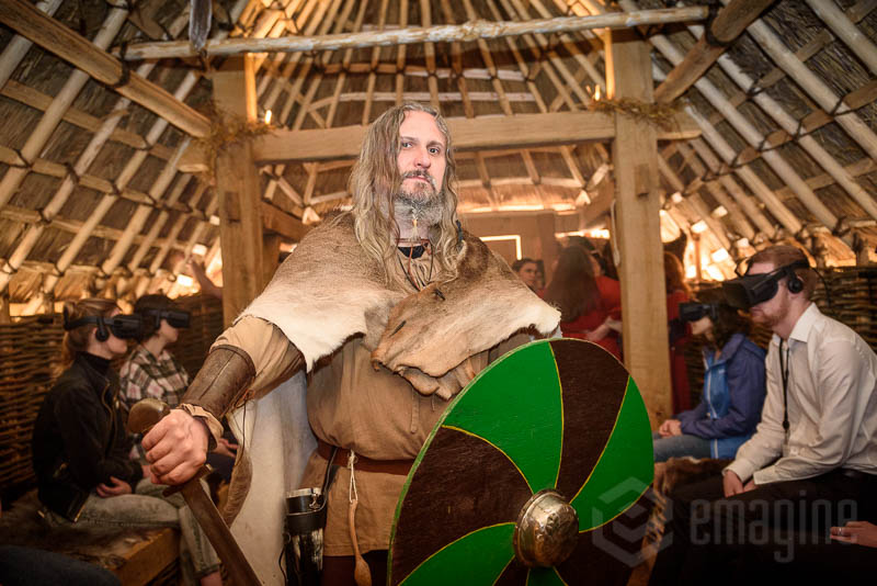 king of the vikings