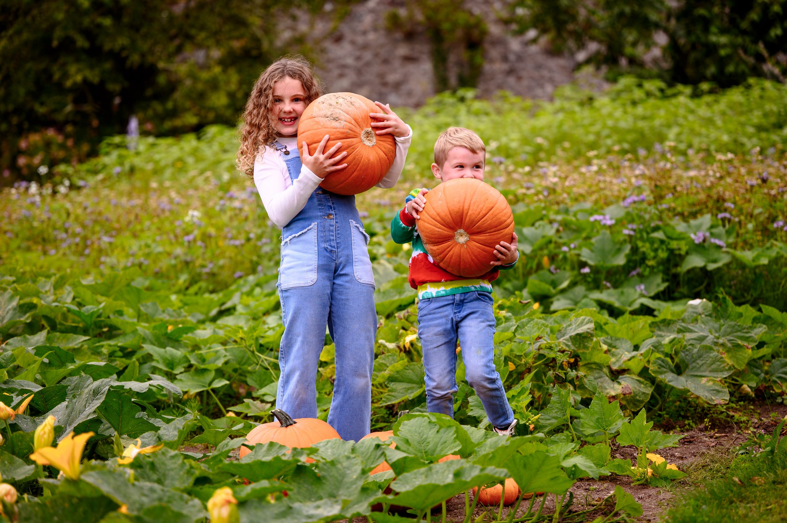 Halloween Trails & Pumpkin Picking - Visit Waterford